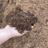 Tuinturf-min-510x438