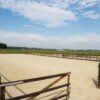 aanleg paardenbak