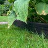 multi-edge-eco-rol-zwart-20h-aangelegd_3